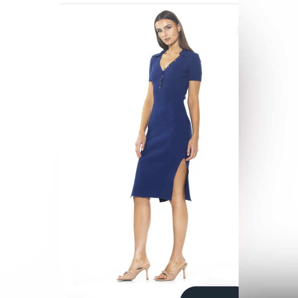 NWT Alexia Admor Eliana dress size XL